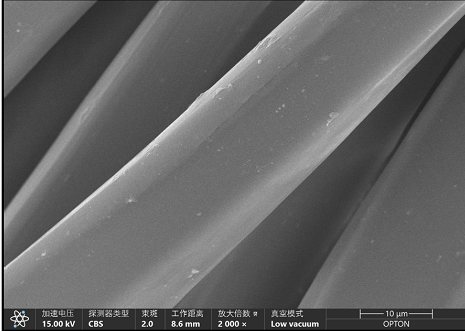 扫描电镜在不导电涤纶纤维材料中的表征应用