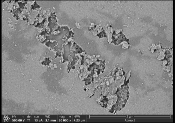 国产替代新赛道：新型半导体载版-玻璃基板