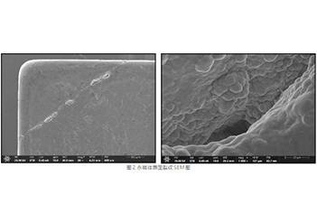 从裂纹观测到晶界相分析：Apreo ChemiSEM 的钕铁硼全维度表征方案